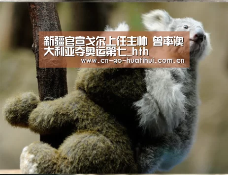 华体会官网